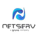 Netser Group